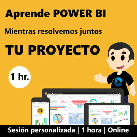 Kit PBI | sesión personalizada 2 hrs